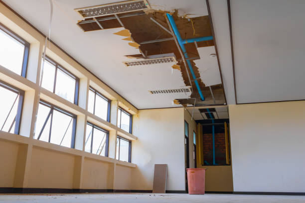 Best Sewage cleanup and water damage restoration  in Lavon, TX