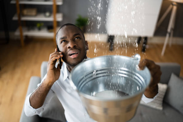 Best Carpet water damage restoration  in Lavon, TX
