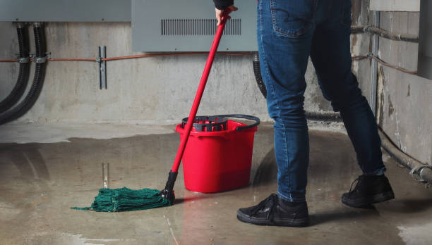 Best Residential water damage restoration  in Lavon, TX