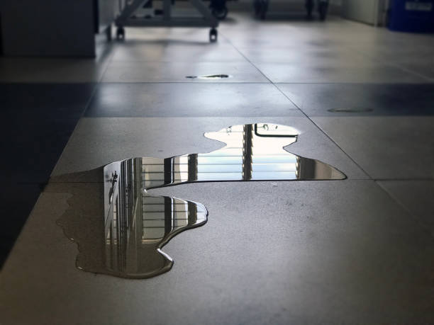 Best Carpet water damage restoration  in Lavon, TX